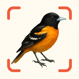 Bird Identifier